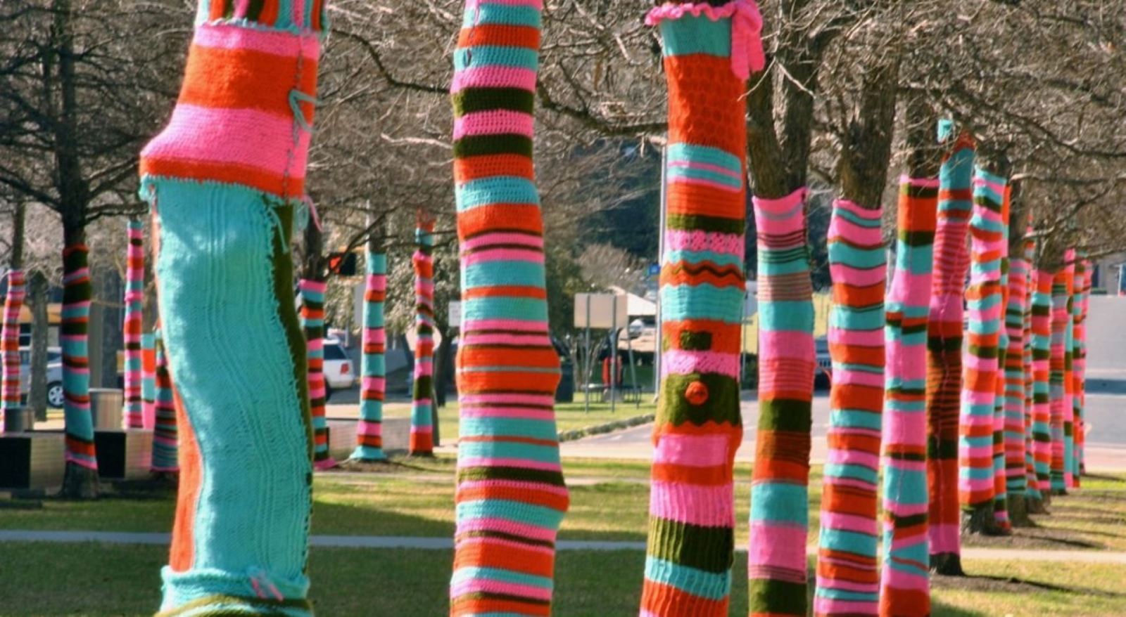 Yarn Bombing Trees